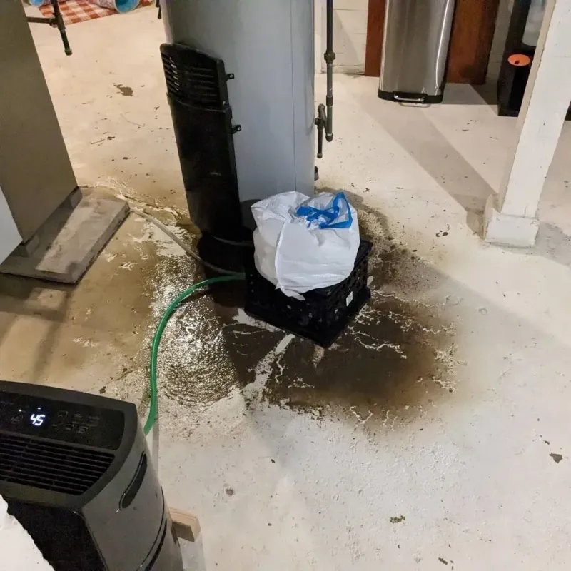 Sewage Backup Cleanup Service in Boyd County, KY